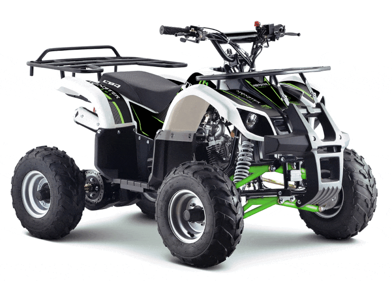 Quad 125cc Toronto Monster Energy
